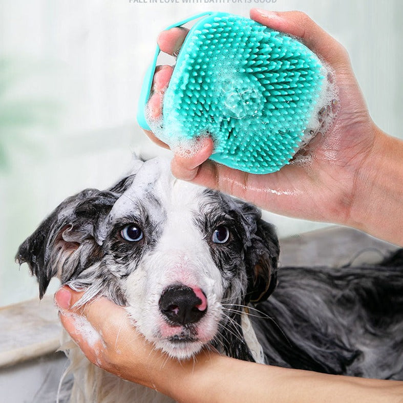 pet grooming tools