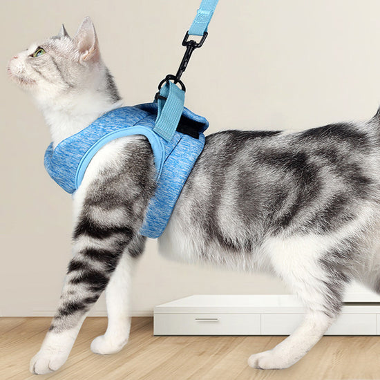 "Comfortable and Stylish Cat Leash with Lightweight Harness for Safe Adventures"