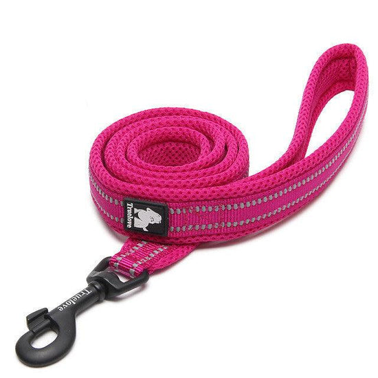 Adjustable Nylon Pet Leash