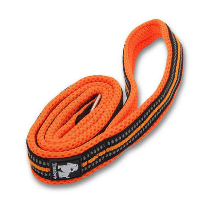 Adjustable Nylon Pet Leash