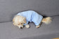 Pet Bathrobe - Absorbent Towel and Winter Coat