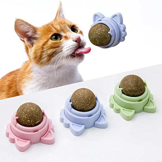 Stick-On Catnip Balls – Natural, Fun, and Healthy for Your Kitty