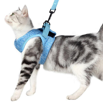 "Comfortable and Stylish Cat Leash with Lightweight Harness for Safe Adventures"