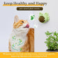 Stick-On Catnip Balls – Natural, Fun, and Healthy for Your Kitty