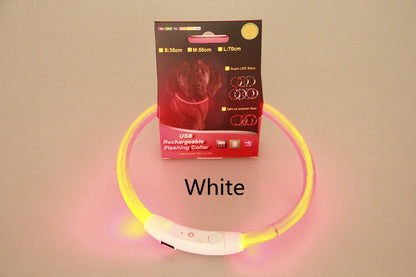 Pet Flashing Collar USB Rechargeable | Glowing Dog Necklace for Night Safety