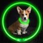 Pet Flashing Collar USB Rechargeable | Glowing Dog Necklace for Night Safety