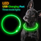 Pet Flashing Collar USB Rechargeable | Glowing Dog Necklace for Night Safety