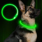 Pet Flashing Collar USB Rechargeable | Glowing Dog Necklace for Night Safety