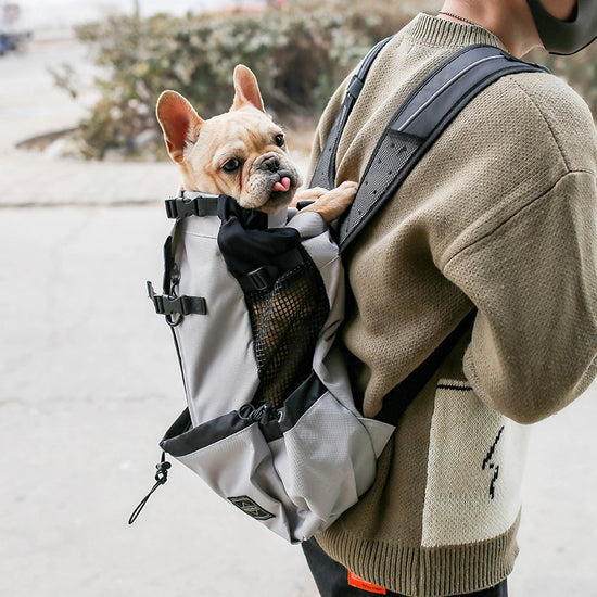 Portable Double Shoulder Dog Travel Backpack