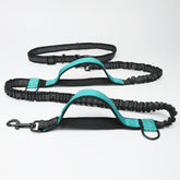 Multi-function running reflective pull dog leash double elastic dog leash traction.