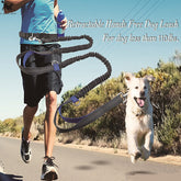 Multi-function running reflective pull dog leash double elastic dog leash traction.