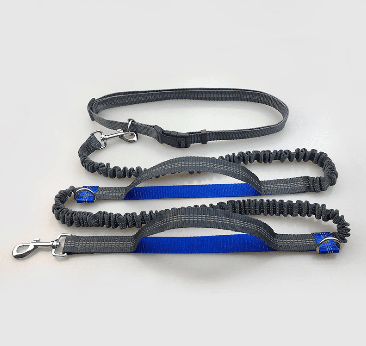 Multi-function running reflective pull dog leash double elastic dog leash traction.