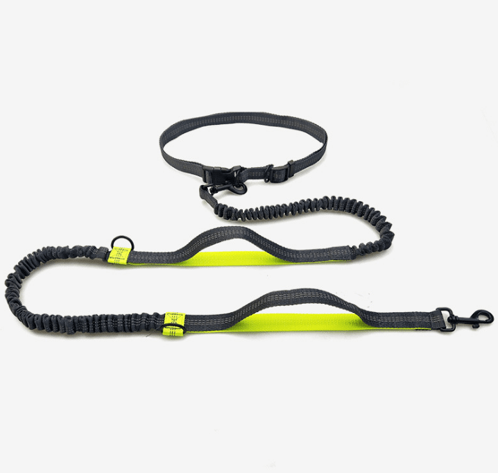 Multi-function running reflective pull dog leash double elastic dog leash traction.