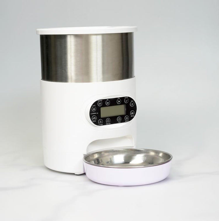 Automatic chqiue pet feeder