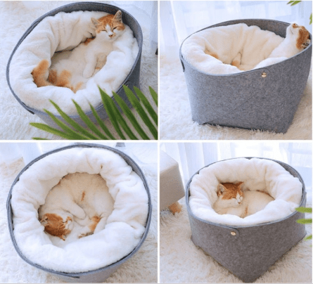 pet bed