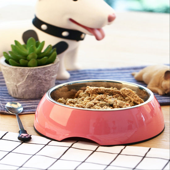 Large Antibacterial Stainless Steel Pet Food Bowls